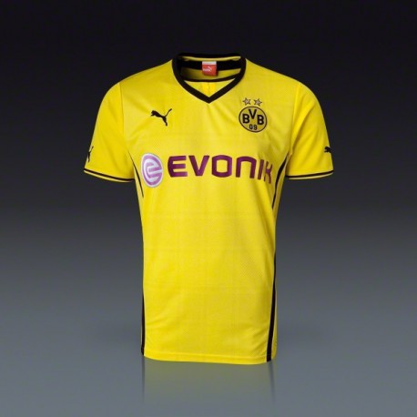 Borussia Dortmund 2013/14 Hazai mez