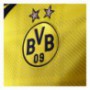 Borussia Dortmund 2013/14 Hazai mez
