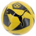 Borussia Dortmund Labda 2020/21