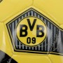 Borussia Dortmund Labda 2018/19