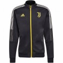 Juventus Kabát 2019/20 (átmeneti)