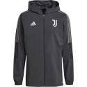 Juventus Kabát 2019/20 (átmeneti)