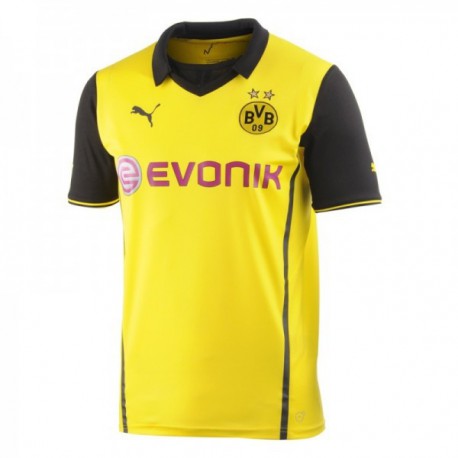 Borussia Dortmund 2013/14 Bl mez