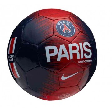 Paris Saint-Germain Labda 2016-17