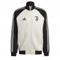 Juventus Kabát 2019/20 (átmeneti)