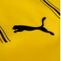 Borussia Dortmund mez 2024/25 (hazai)