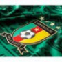 2014-15 Kamerun Válogatott VB Hazai mez