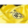 Borussia Dortmund 2015/16 Hazai mez