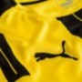 Borussia Dortmund 2016/17 Hazai mez
