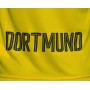 Borussia Dortmund mez 2017/18 (Hazai)