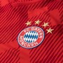 Bayern München Mez 2018/19 (Hazai)