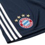 Bayern München short 2018/19 ( Hazai)