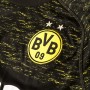 Borussia Dortmund mez 2018/19 (Vendég)