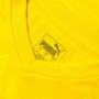 Borussia Dortmund mez 2018/19 (Hazai)