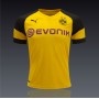 Borussia Dortmund mez 2018/19 (Hazai)