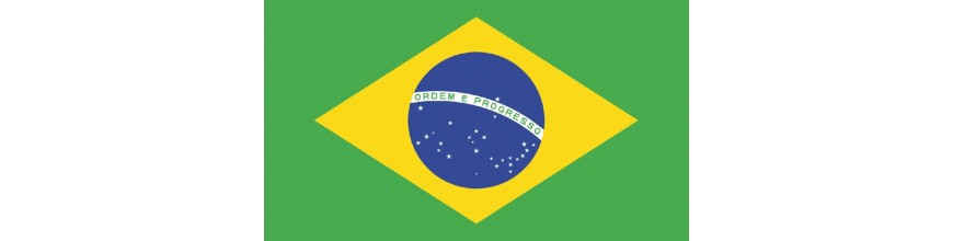 Brazil válogatott