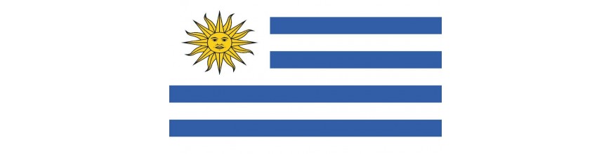 Uruguay válogatott